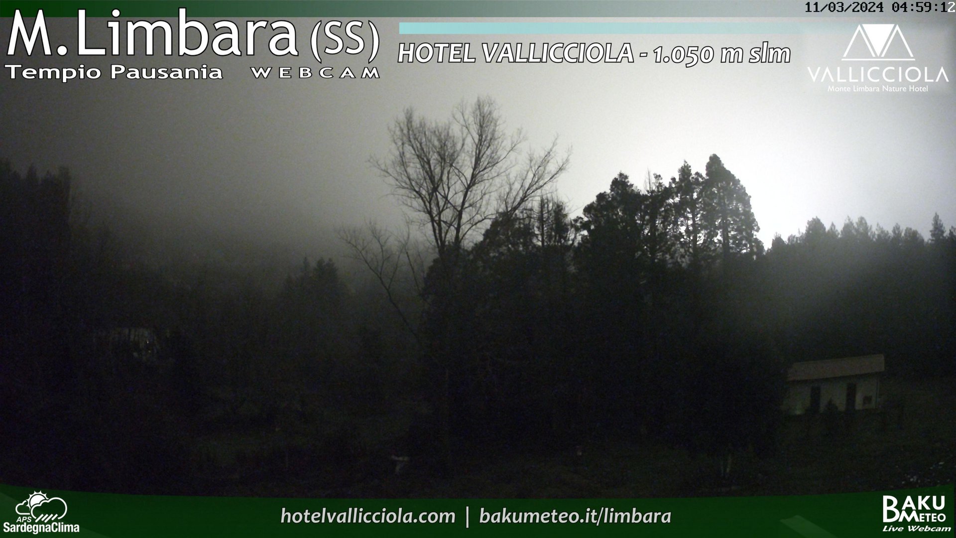 time-lapse frame, Monte Limbara Vallicciola webcam