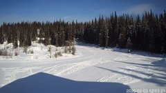 view from Nordic Centre Lodge on 2025-02-03