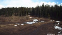 view from Nordic Centre Lodge on 2025-04-28