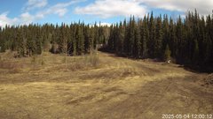 view from Nordic Centre Lodge on 2025-05-04