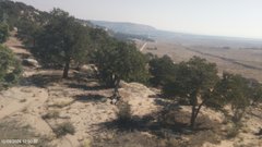 view from West Rabbit Gulch, Duchesne County, Utah, U.S.A. on 2024-10-09