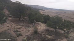 view from West Rabbit Gulch, Duchesne County, Utah, U.S.A. on 2024-10-20