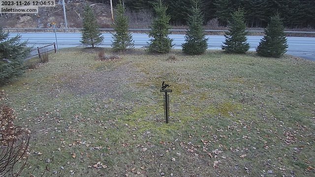 time-lapse frame, Winter2023-2024 webcam