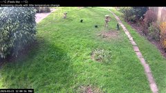 view from Wembury, Devon. Garden Cam on 2024-03-21