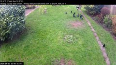 view from Wembury, Devon. Garden Cam on 2024-04-05