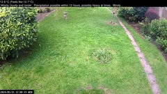 view from Wembury, Devon. Garden Cam on 2024-05-15