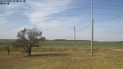 view from Ewing, Nebraska (west view)   on 2024-10-19