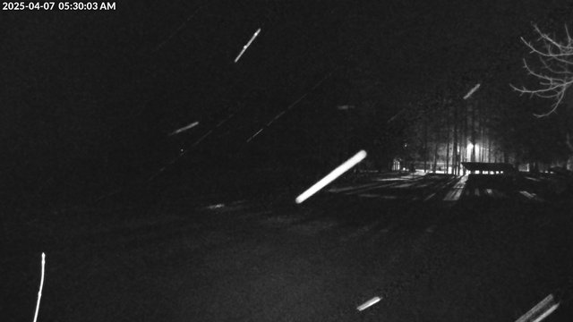 time-lapse frame, Arrowhead Park webcam