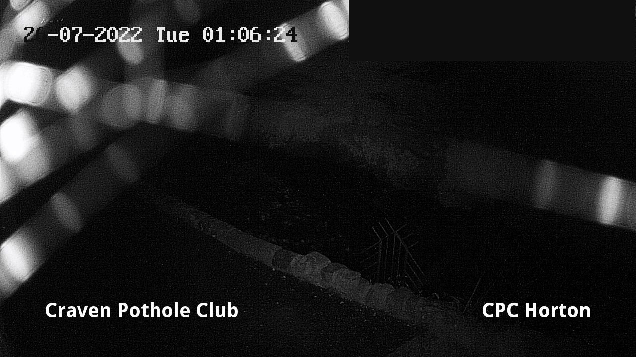 time-lapse frame, HortonBrantsGillCam webcam