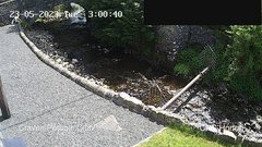 view from HortonBrantsGillCam on 2023-05-23