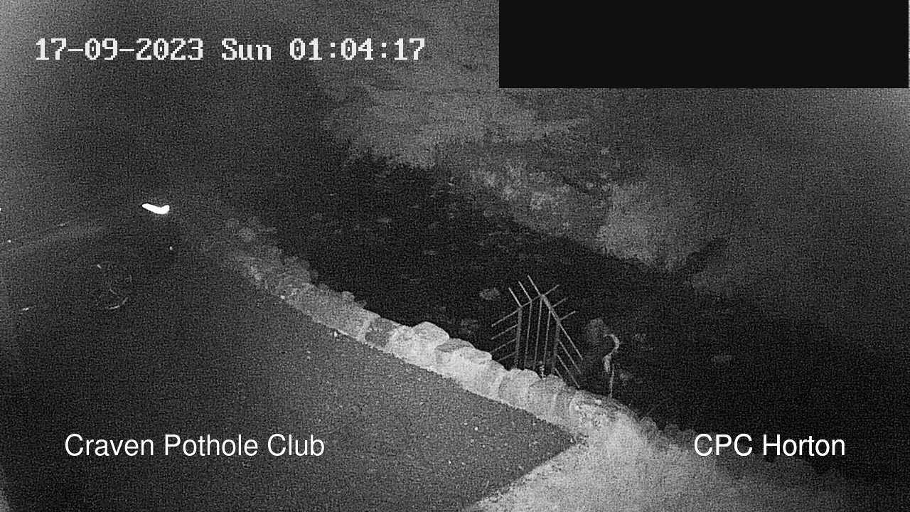 time-lapse frame, HortonBrantsGillCam webcam