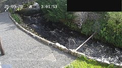 view from HortonBrantsGillCam on 2023-09-25