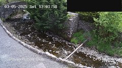 view from HortonBrantsGillCam on 2025-05-03