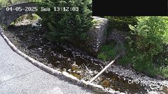 view from HortonBrantsGillCam on 2025-05-04