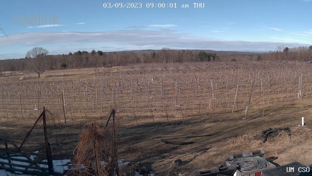 time-lapse frame, UM CSO webcam