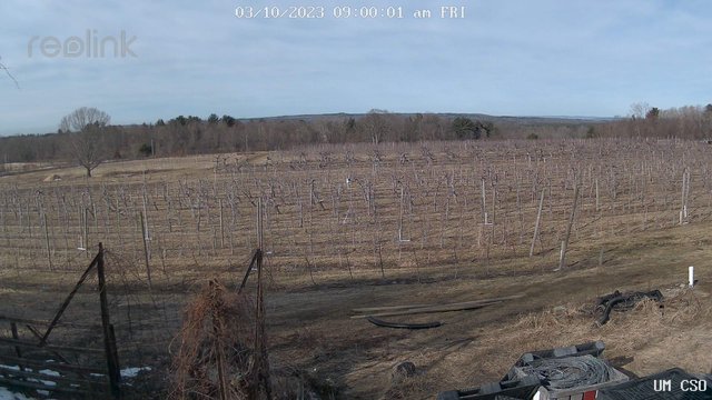 time-lapse frame, UM CSO webcam