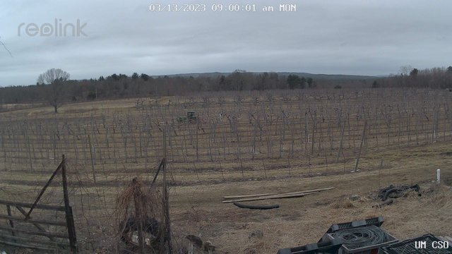 time-lapse frame, UM CSO webcam