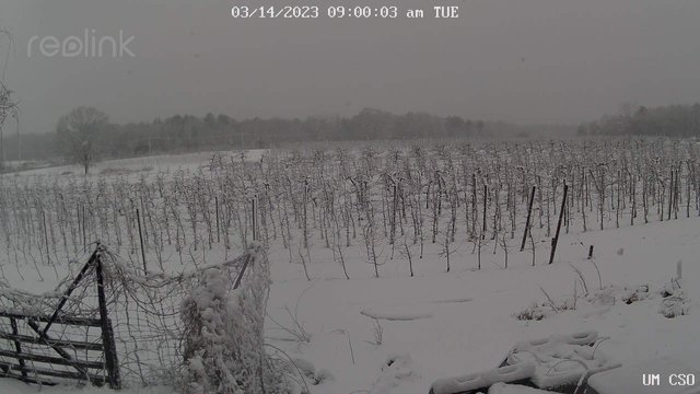 time-lapse frame, UM CSO webcam