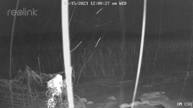 time-lapse frame, UM CSO webcam