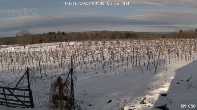 time-lapse frame, UM CSO webcam