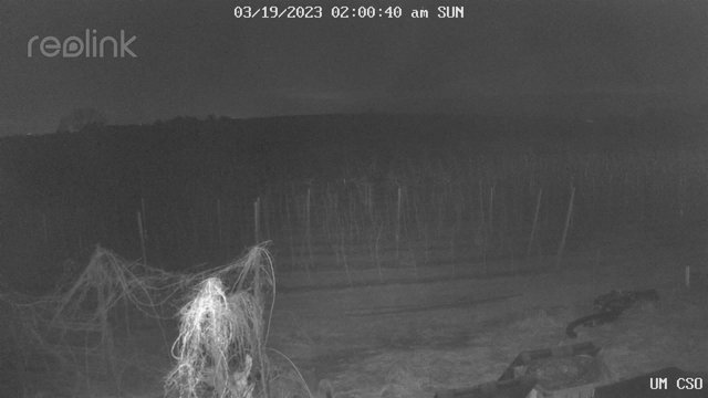 time-lapse frame, UM CSO webcam
