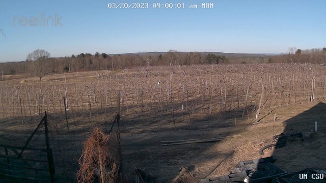 time-lapse frame, UM CSO webcam
