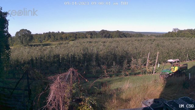 time-lapse frame, UM CSO webcam