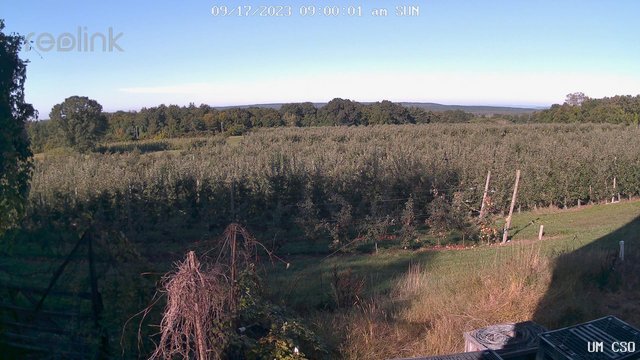 time-lapse frame, UM CSO webcam