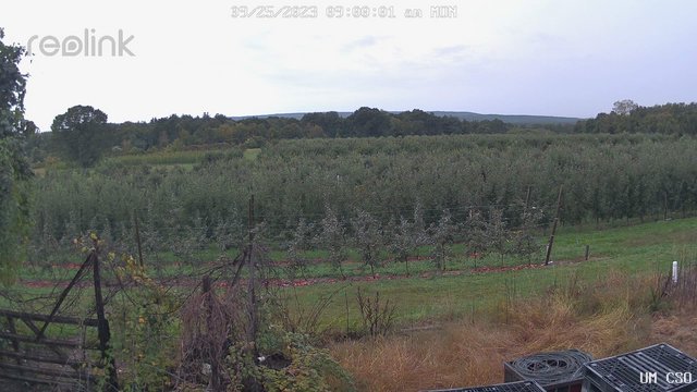 time-lapse frame, UM CSO webcam