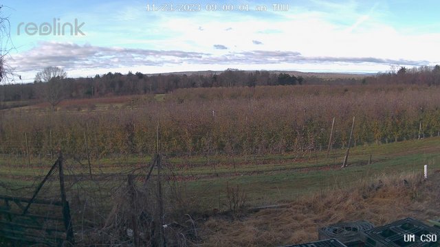 time-lapse frame, UM CSO webcam