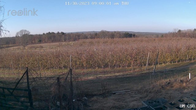 time-lapse frame, UM CSO webcam