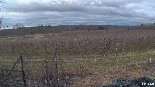 time-lapse frame, UM CSO webcam