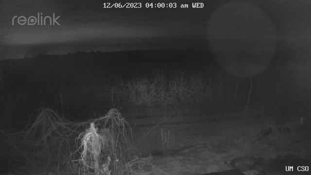 time-lapse frame, UM CSO webcam