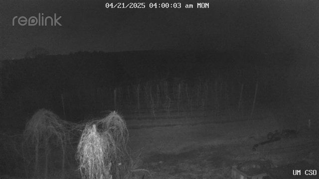 time-lapse frame, UM CSO webcam