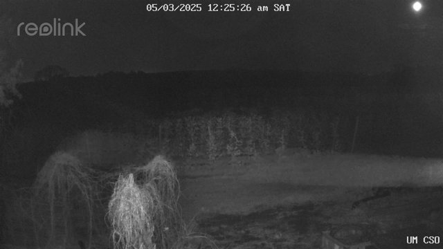 time-lapse frame, UM CSO webcam