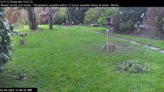 view from Wembury, Devon. Garden Zoom Cam on 2024-04-01