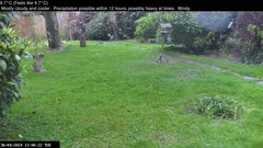 view from Wembury, Devon. Garden Zoom Cam on 2024-04-30