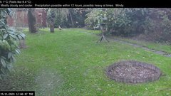 view from Wembury, Devon. Garden Zoom Cam on 2024-11-19