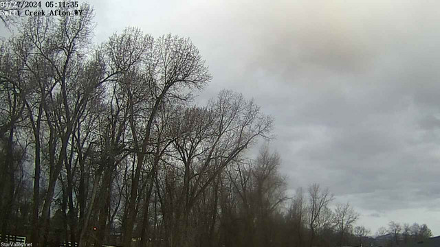 time-lapse frame, Swift Creek - Zoomed webcam