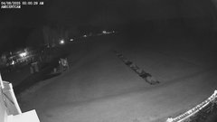 view from ambientcam on 2025-04-08