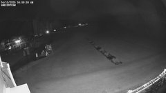 view from ambientcam on 2025-04-10