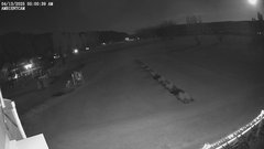 view from ambientcam on 2025-04-13