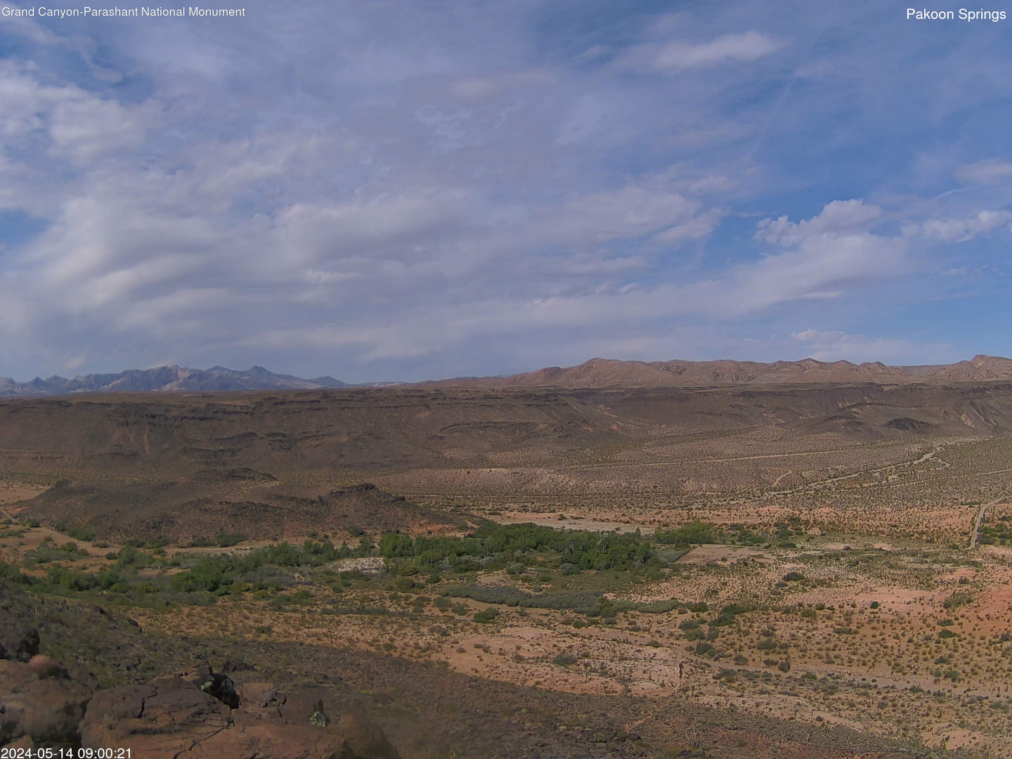 time-lapse frame, Pakoon Springs webcam