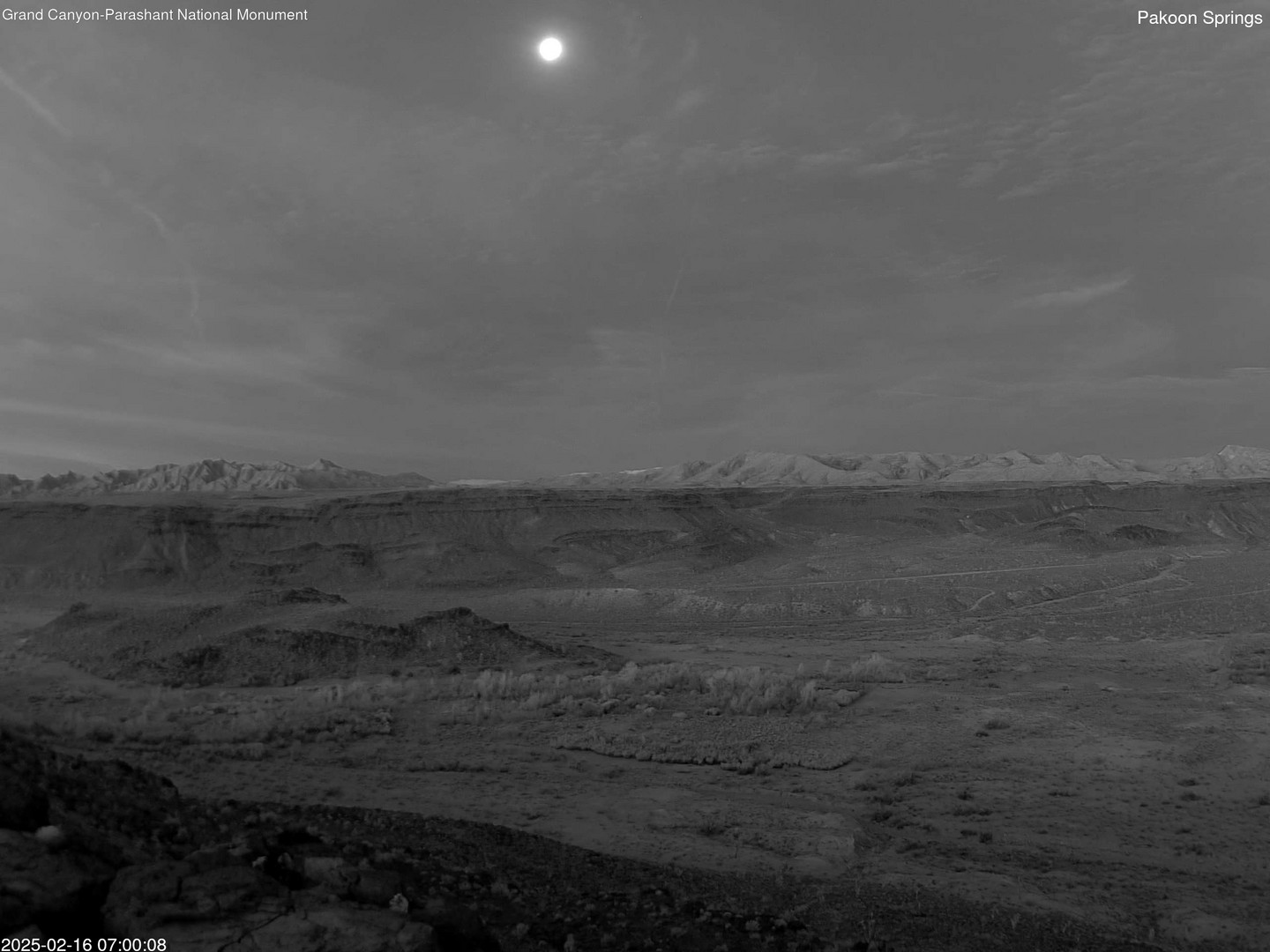 time-lapse frame, Pakoon Springs webcam