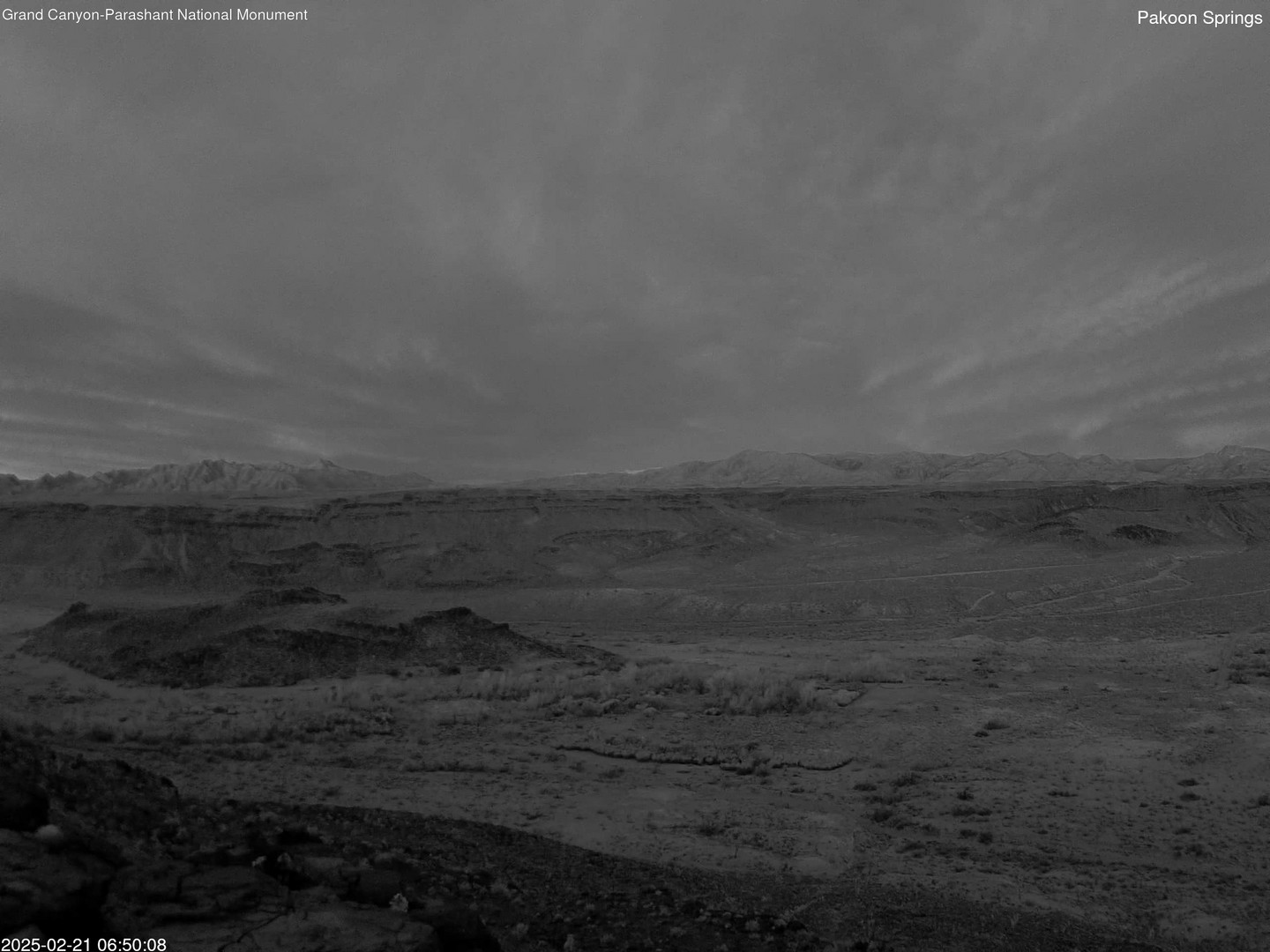 time-lapse frame, Pakoon Springs webcam