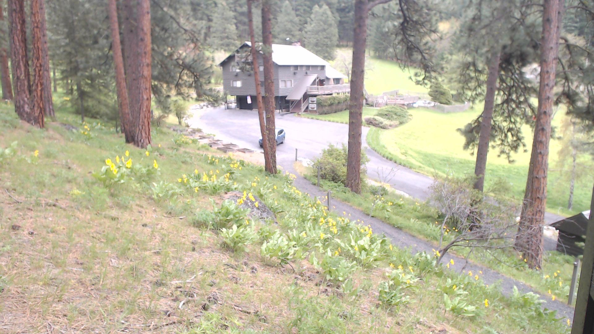 time-lapse frame, Mountain Home Lodge From Cabin webcam