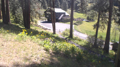 view from Mountain Home Lodge From Cabin on 2024-05-01