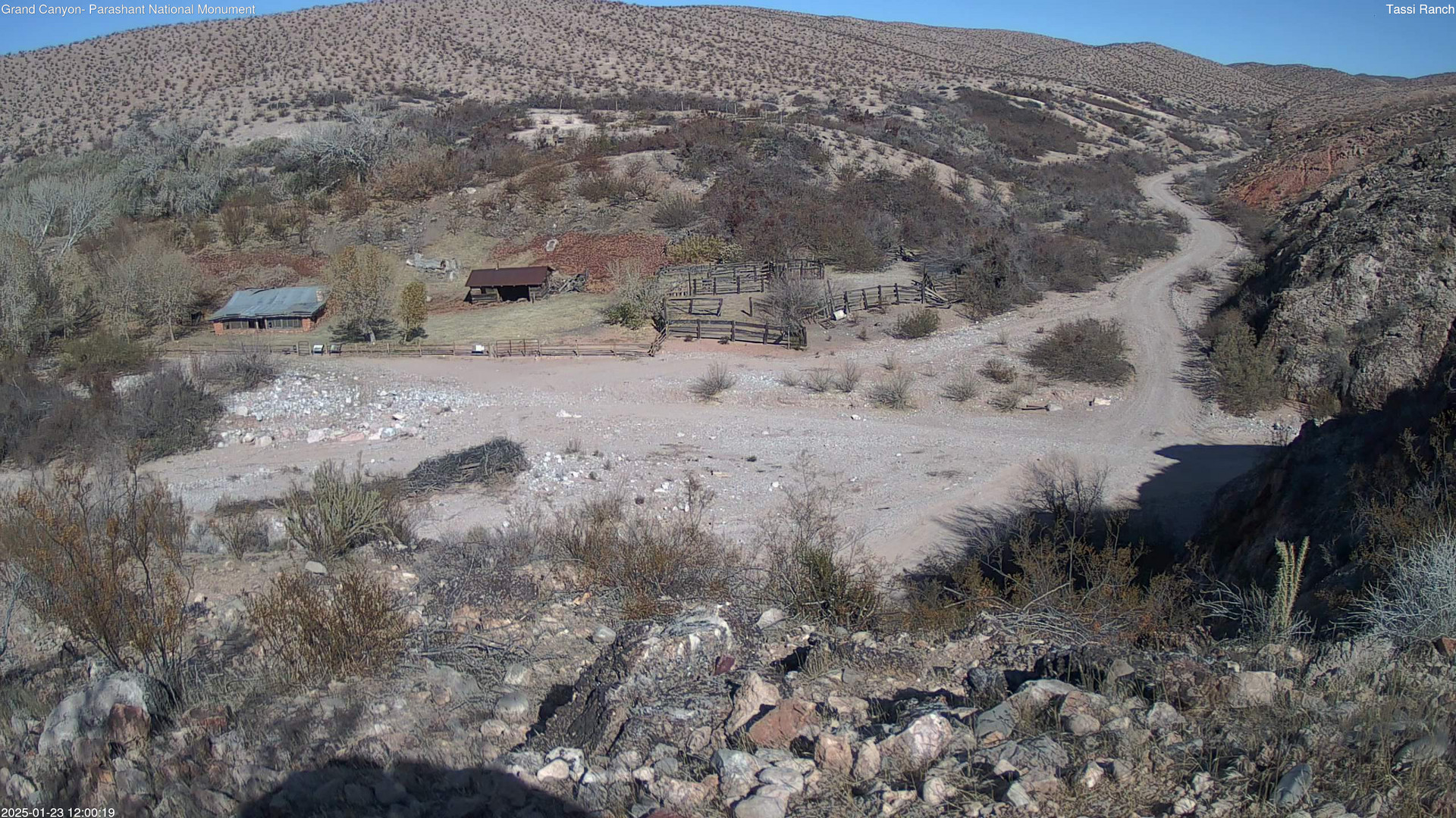 time-lapse frame, Tassi Ranch webcam