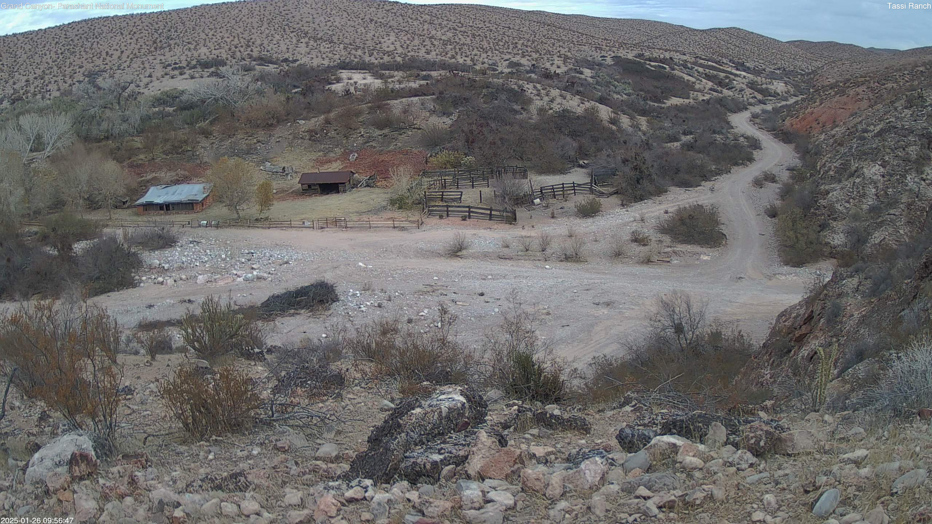 time-lapse frame, Tassi Ranch webcam