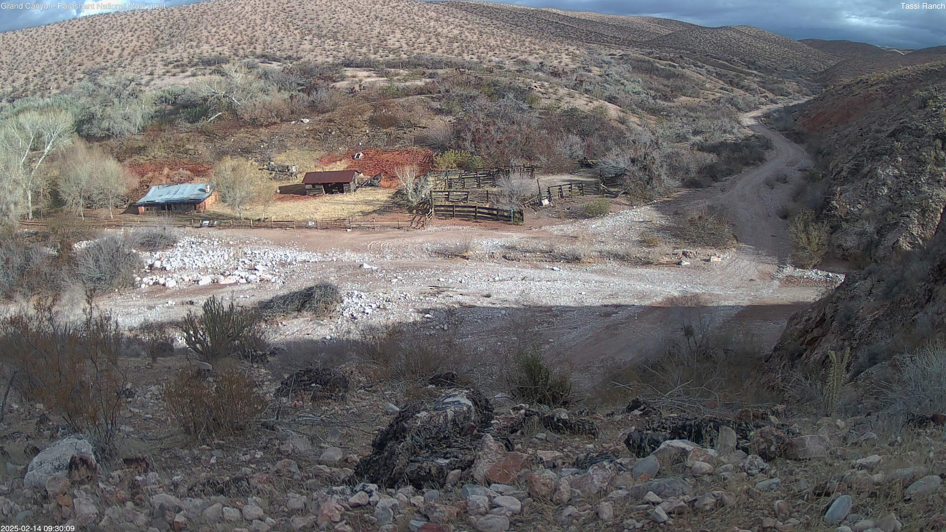 time-lapse frame, Tassi Ranch webcam